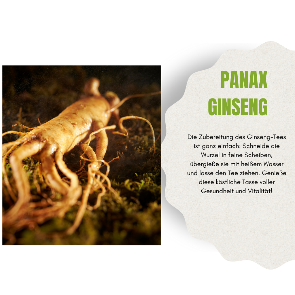 Panax Ginseng Wurzel – 100 g