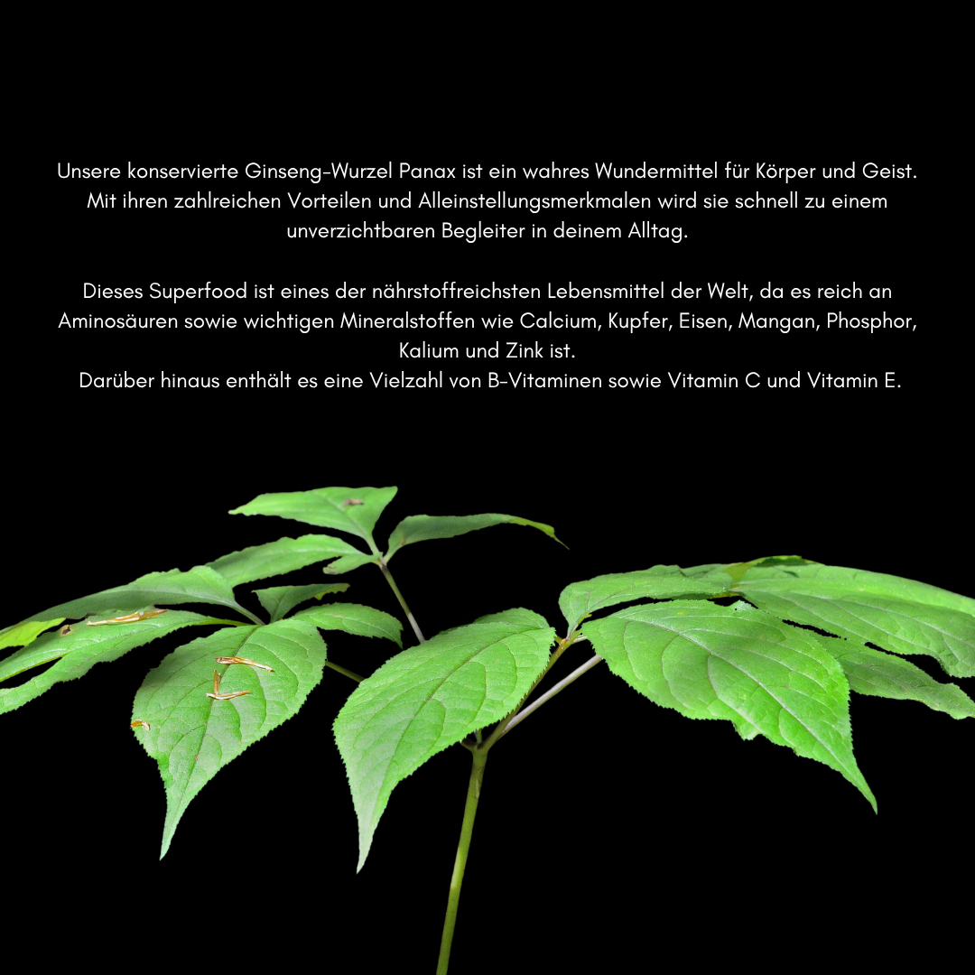 Panax Ginseng Wurzel – 100 g