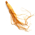 Panax Ginseng Wurzel – 100 g